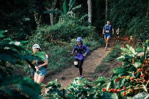 BIB: 
                            <button type="button" onclick="openModal(25819429)" class="btn btn-primary btn-sm float-right btn-popup" data-toggle="modal" data-target=".modal-high-quality">
                        <i class="fas fa-shopping-cart"></i> Add to Cart
                    </button>
                                            <button type="button" onclick="isThisMe(25819429, true)" class="btn btn-success btn-sm float-right btn-popup btn-isme hidden" data-toggle="tooltip" data-placement="bottom" title="นี่คือรูปของคุณใช่ไหม คลิกที่นี่เพื่อเอาเข้าอัลบั้ม">
                        <i class="fas fa-plus"></i> Add to album
                    </button>
                    <button type="button" onclick="isThisMe(25819429, false)" class="btn btn-warning btn-sm float-right btn-popup btn-isnotme hidden">
                        <i class="fas fa-ban"></i> Remove from album
                    </button>